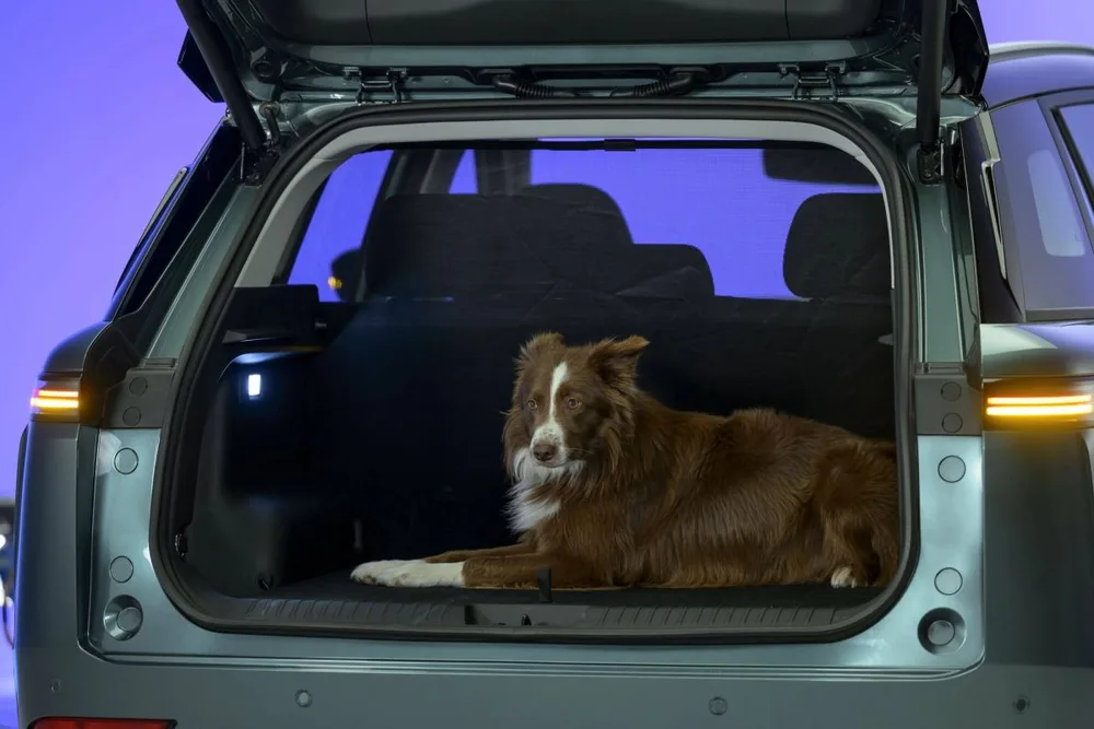Open boot in the JAECOO 5 family, shown with a dog